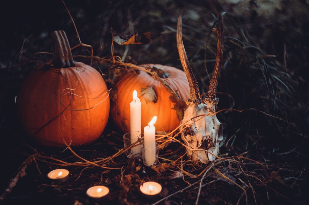 Altar in the forest with lit candles, 2 pumpkins and a horned animal skull